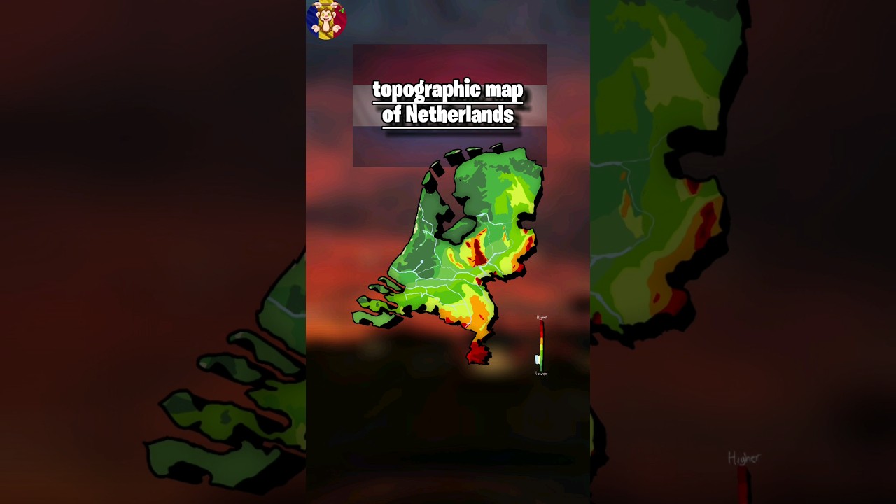 Hows the quality? 