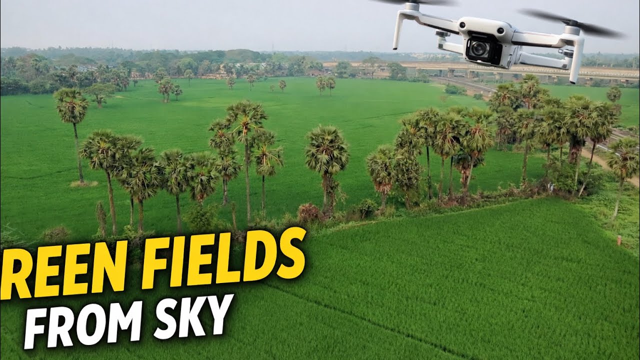 Flying Over Endless Green Fields 🌾 | DJI Neo Drone Cinematic 4K | Beautiful Nature Aerial View