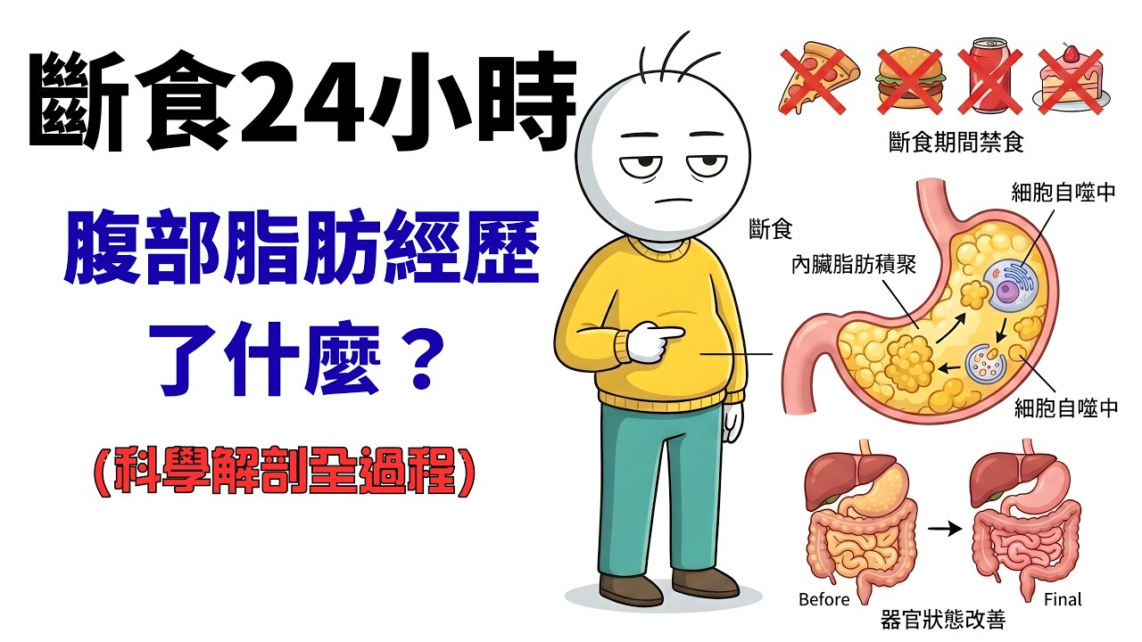 斷食24小時，腹部脂肪經歷了什麼？科學解剖全過程#健康 #減脂 #科普 #运动 #断食 #养生 #科学