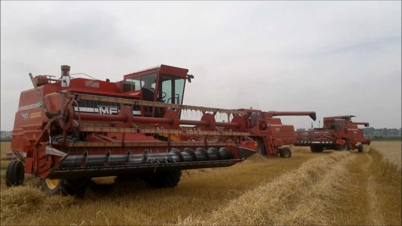 Massey ferguson 760 combine zeeuws vlaanderen 2012