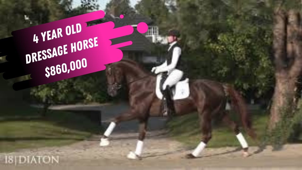 SOLD! $860,000 - 4 Year Old Chestnut Dressage Stallion - Diaton