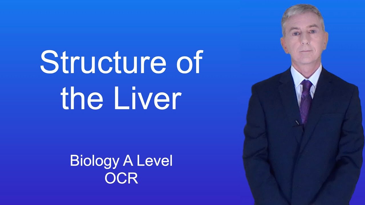 A Level Biology Revision (Year 13) 