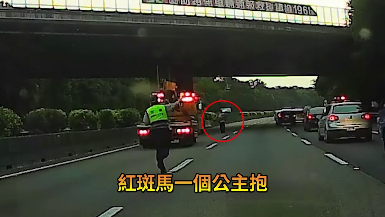 #如果這個世上有天使