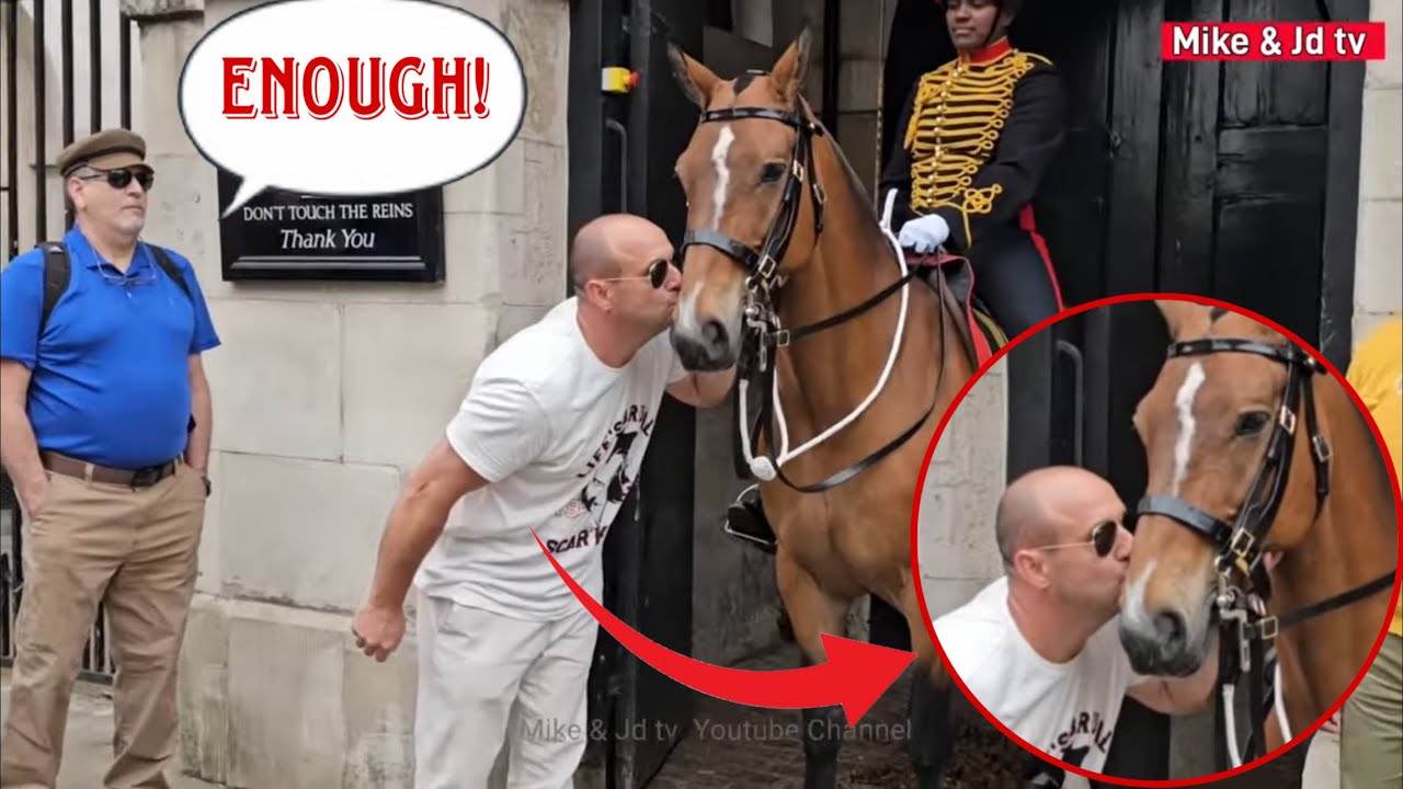 UNBELIEVABLE: Wait Until you See How This Horse Reacts When Tourist Did this! | Horse Guard