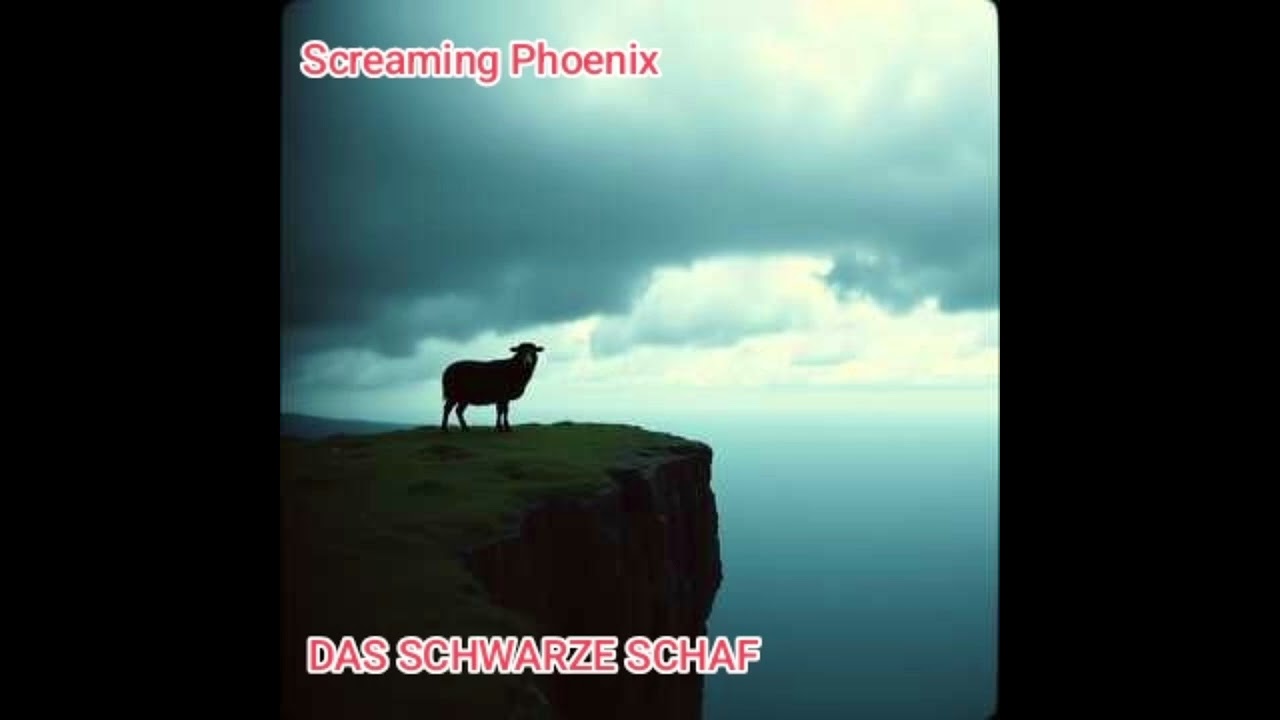 DAS SCHWARZE SCHAF 