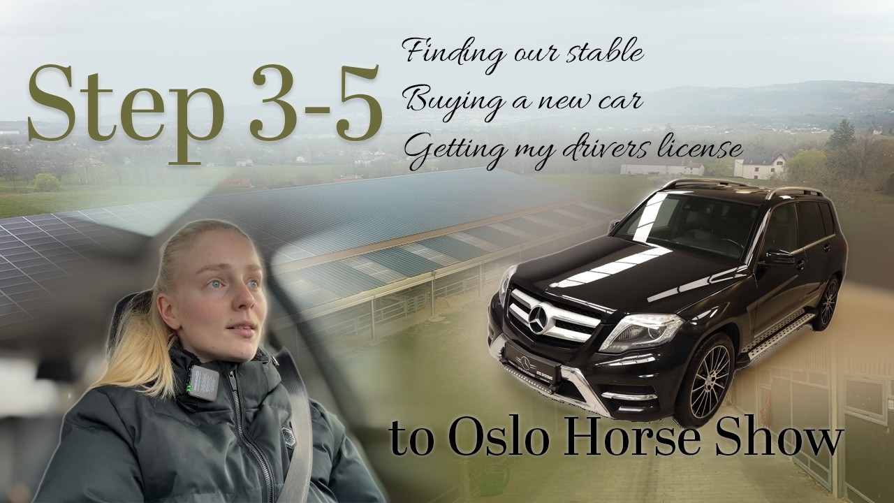 Step 3-5 to Oslo Horse Show: finding a stable, buying a car and getting my drivers license