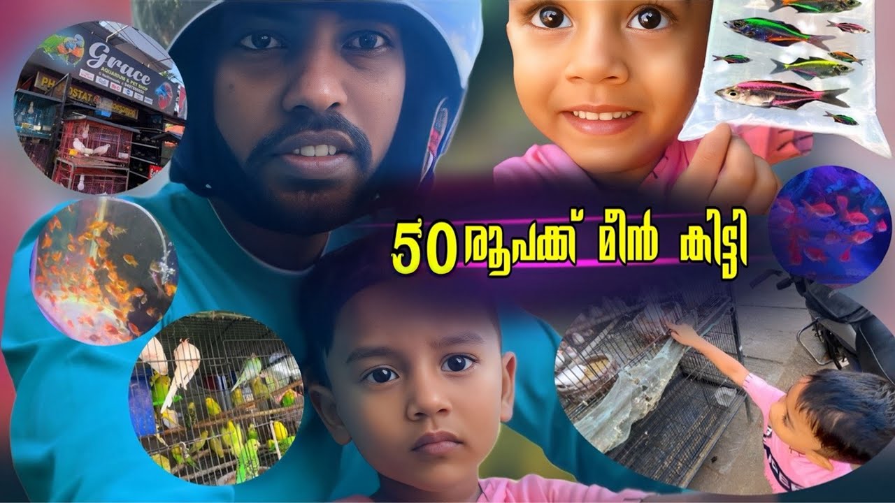 Aquarium Vlog | പുതിയ മീനിനെ മേടിച്ചു 🐠 Lijisha Vijin