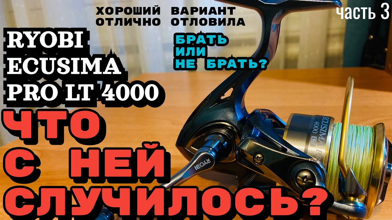 RYOBI ECUSIMA PRO LT 4000. ЧТО ЖЕ С НЕЙ СЛУЧИЛОСЬ? СТОИТ ЛИ БРАТЬ? Разговоры и ответы на вопросы.