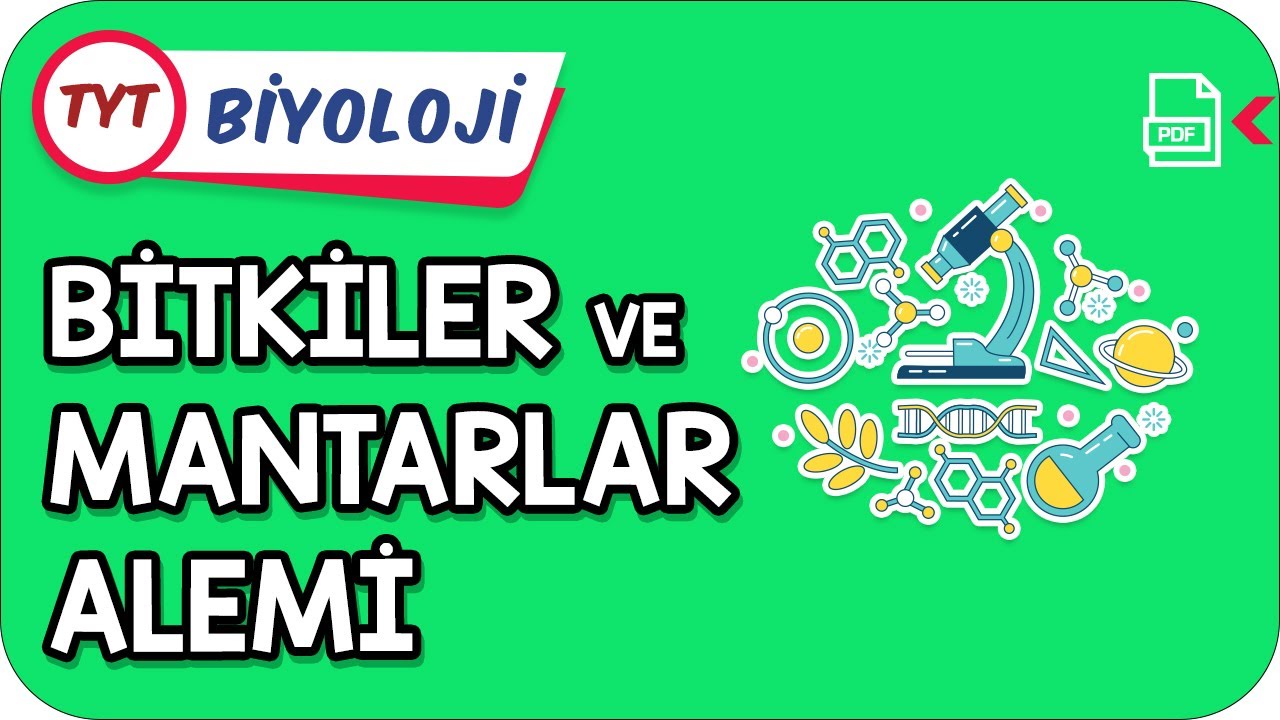 Bitkiler ve Mantarlar Alemi | TYT Hızlanış Kampı    #Kamp2021