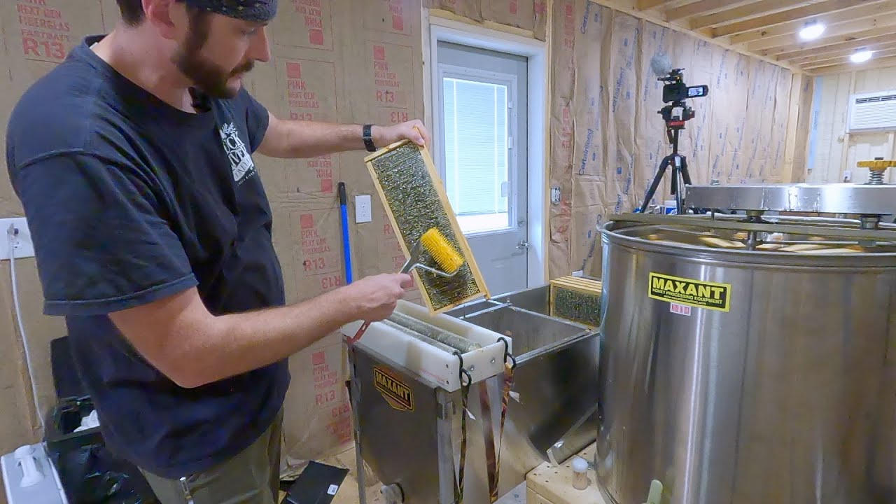 Honey Extraction (Flow & Process)