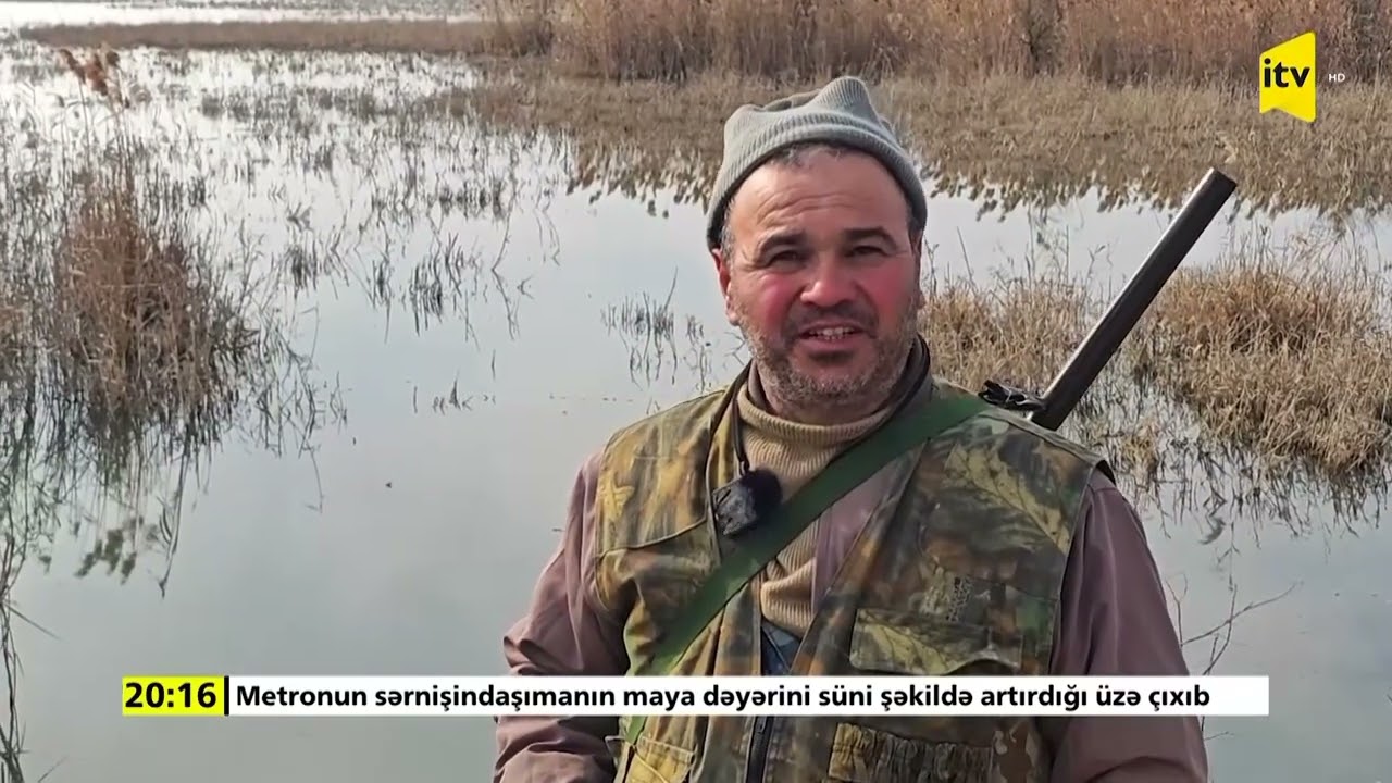 Ov mövsümü açıq elan edilib: hansı heyvanları ovlamaq olmaz?