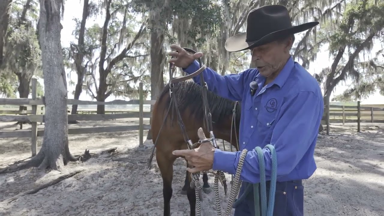 Episode 7, Bridling 101