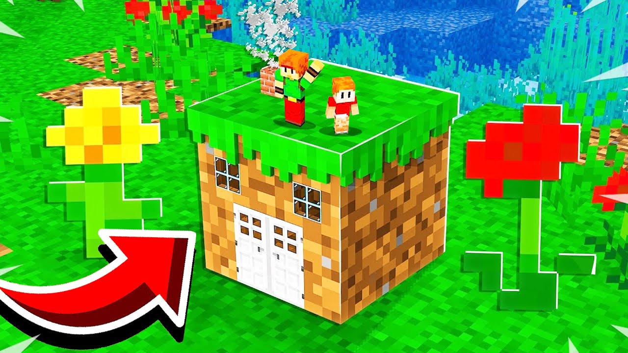SURVIVRE DANS UN BLOC DE TERRE SUR MINECRAFT ?! (Trop cool)