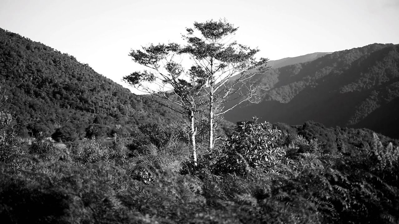 Wānanga // Maori Education Perspective