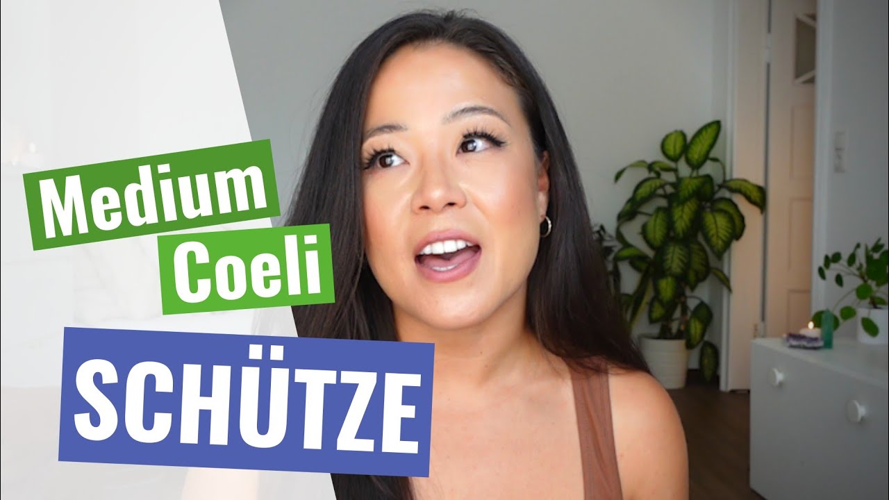 Deine BERUFUNG mit MC Schütze & IC Zwilling