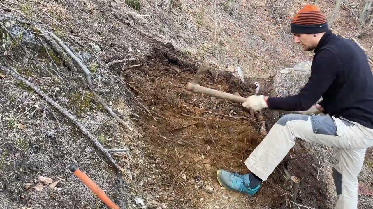 #5 Building a path in the forest PART 3 /  Costruendo un sentiero nel bosco