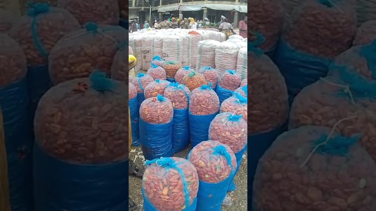 fresh pepper market price 