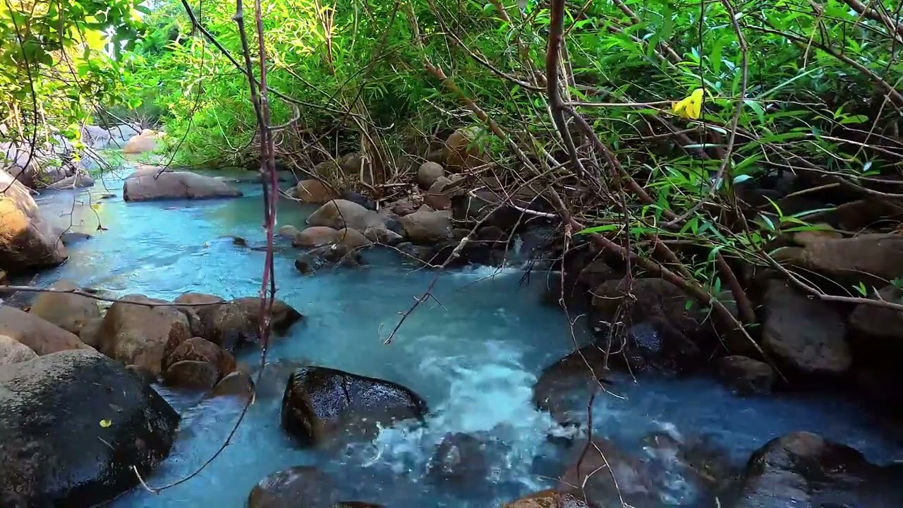 Premium Waterfall Sounds for Studying, Working & Sleep
