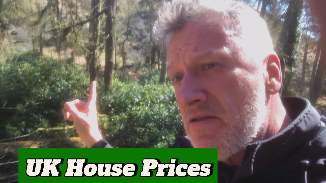 House Prices Enslave you - Alternatives ? VANLIFE ?