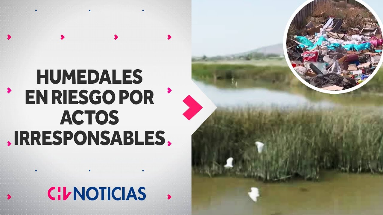 Importantes humedales en peligro por conductas irresponsables: Están llenos de basura y escombros