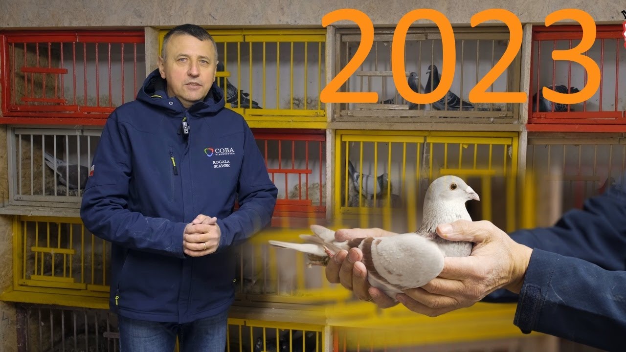 Сезон размножения начался