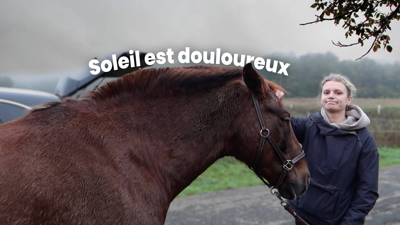 J'APPELLE LE VÉTÉRINAIRE... | VLOG