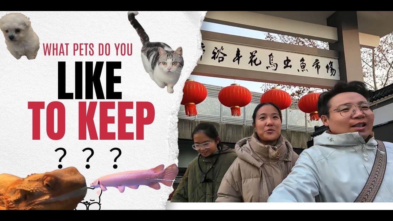 Daily Life in China | The Cutest Market You’ve Never Seen (Full of Life!)