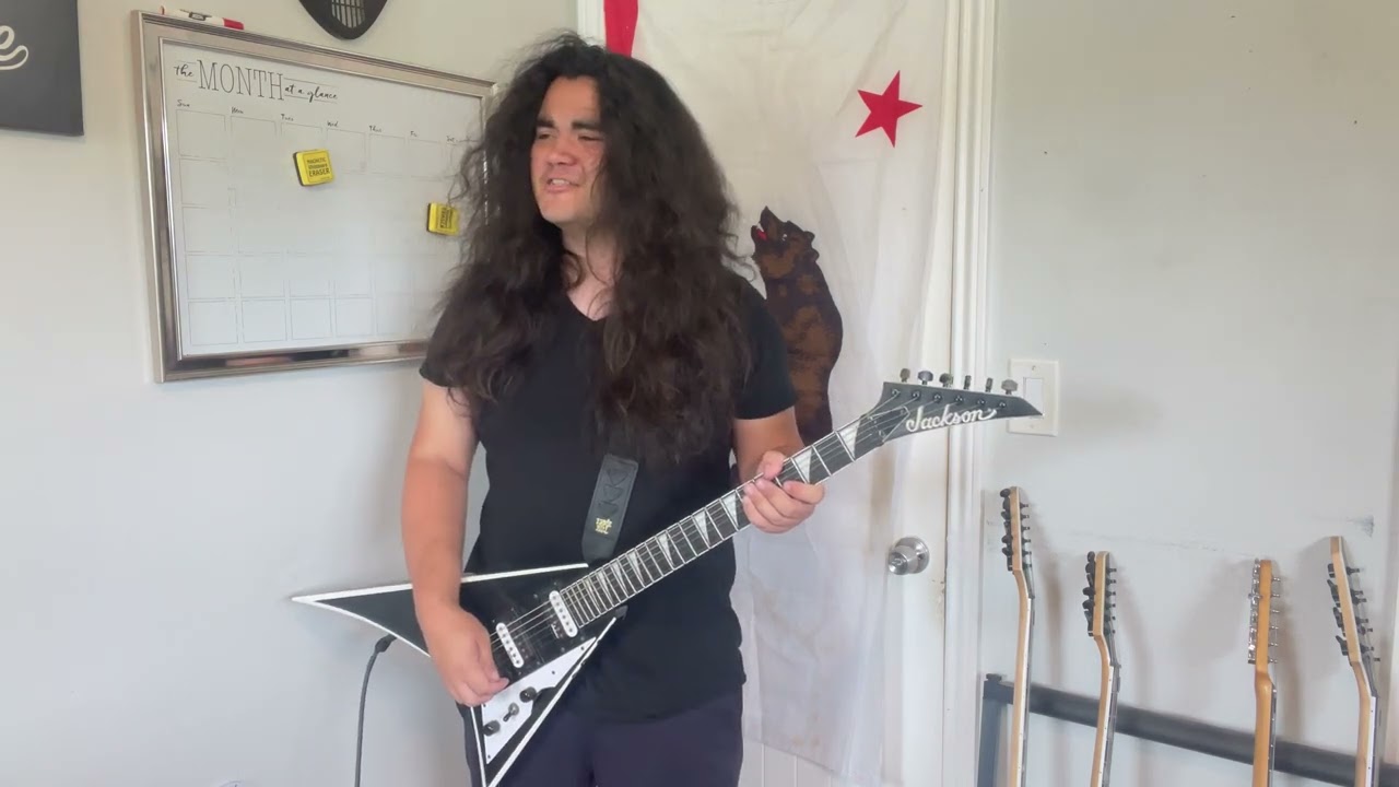 Things Flying V Guitarists Say