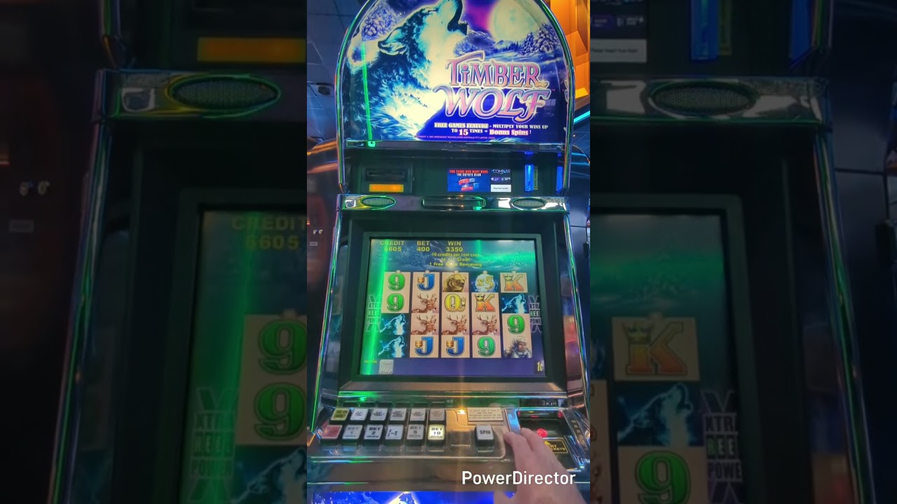 Old and new Timber Wolf 🐺🐺🐺#vegas #slot #slotscasinogames #timberwolves #gambling