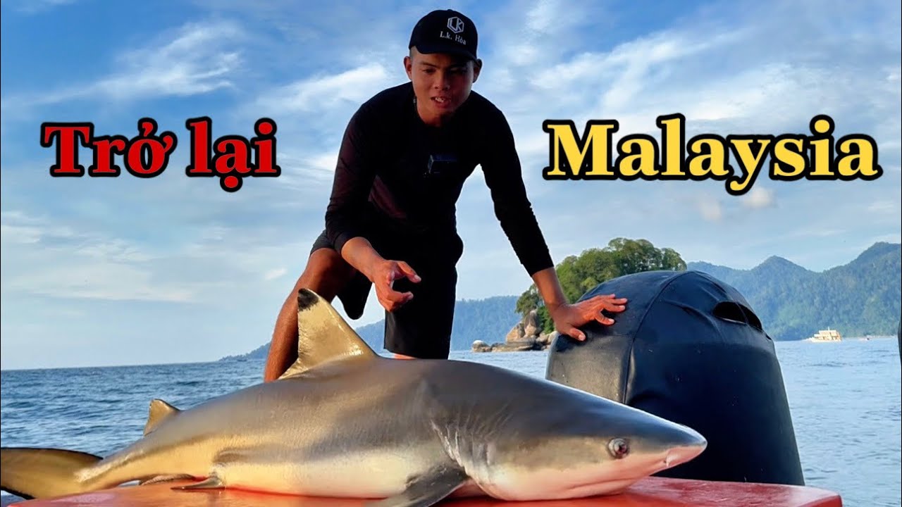 Hành Trình Cá Mập Bò 400kg - Trở Lại Malaysia ( tập 3 )