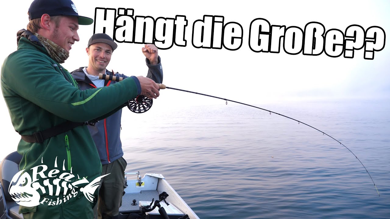 Zielfisch: RENKE & HECHT // Mit PROFIGUIDE Michael Bierbaumer am ATTERSEE Pt.1