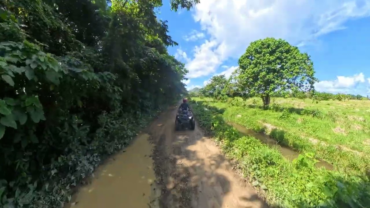 Ruta del arroz en Miches City tours.