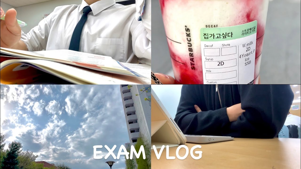 시험기간 광기의 고3 VLOG | 공부 브이로그, 중간고사까지 17일남음 / highschool student / STUDY