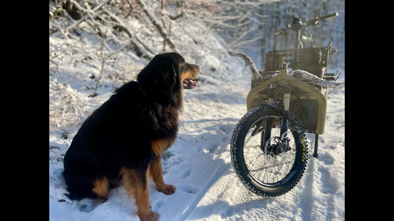 regular trail.