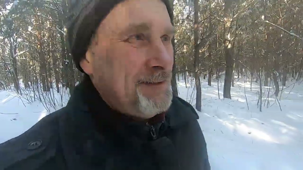 В лес без собак