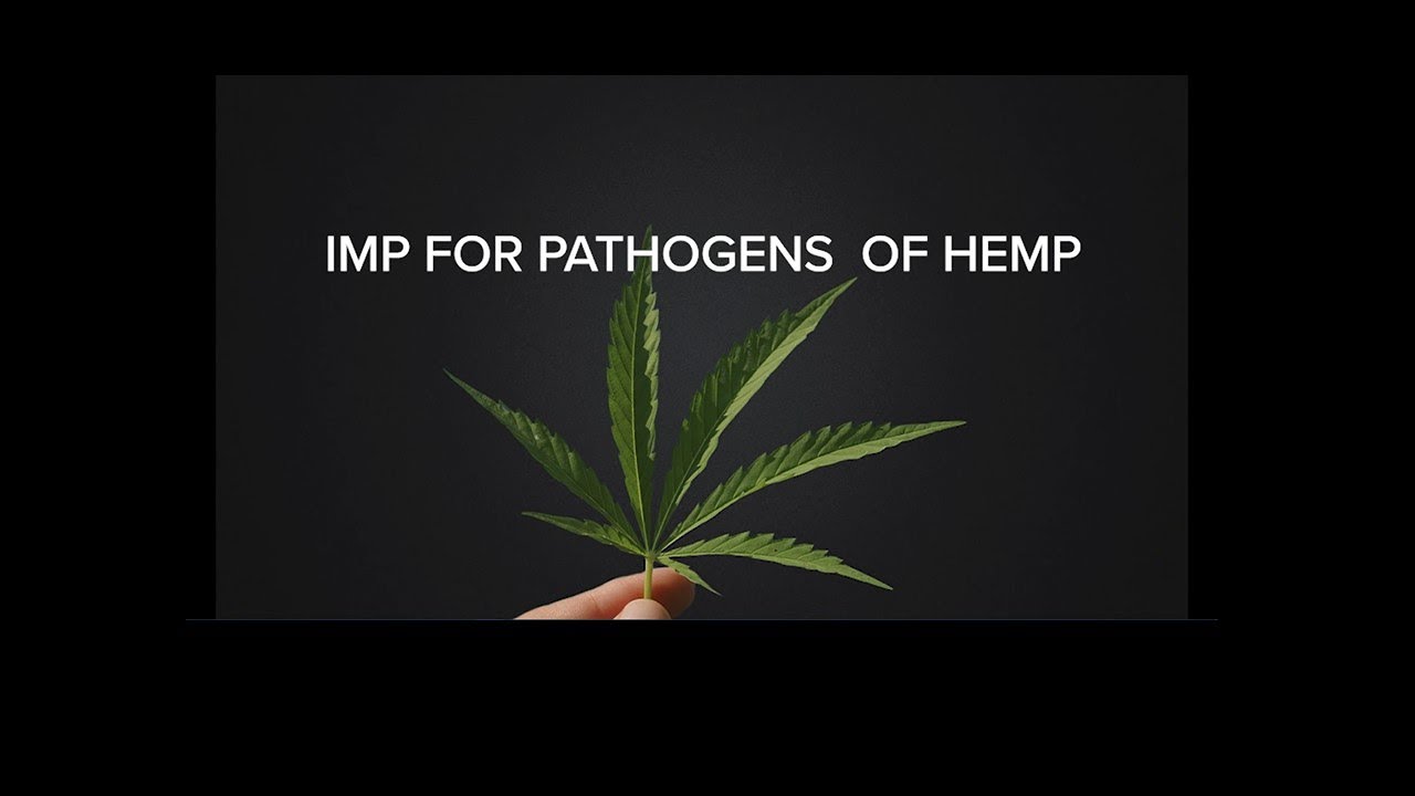 IMP for Pathogens of Hemp