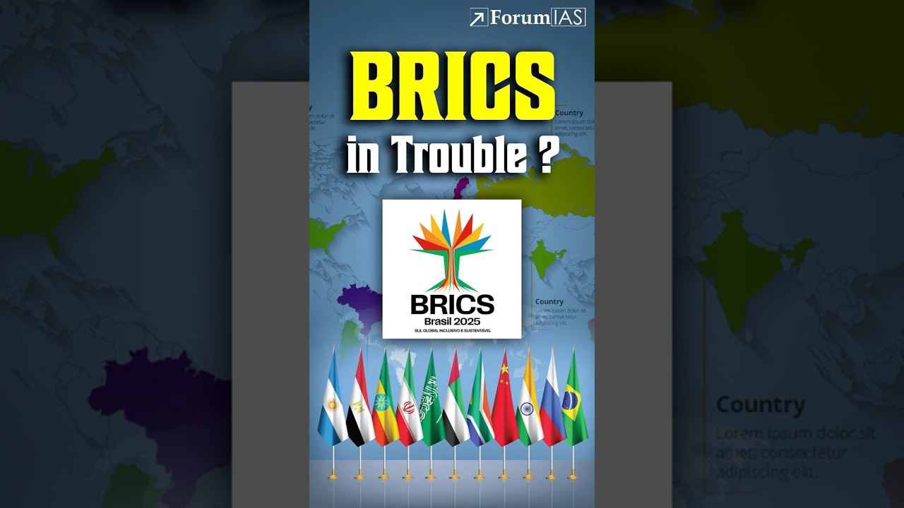 Is BRICS Falling Apart? Power Struggle or New World Order?