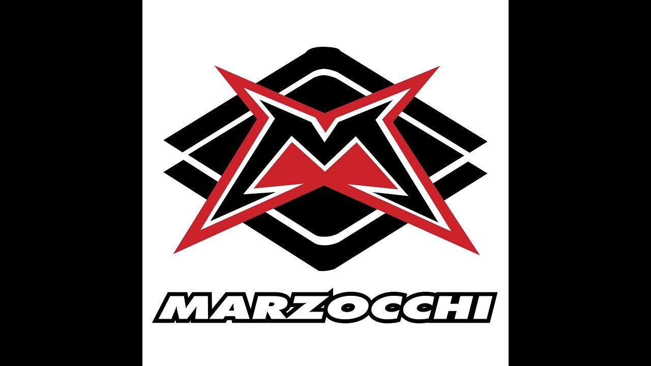 Marzocchi PFP 48mm fork disassembly/reassembly (update in description)  - 2011 GasGas EC250R