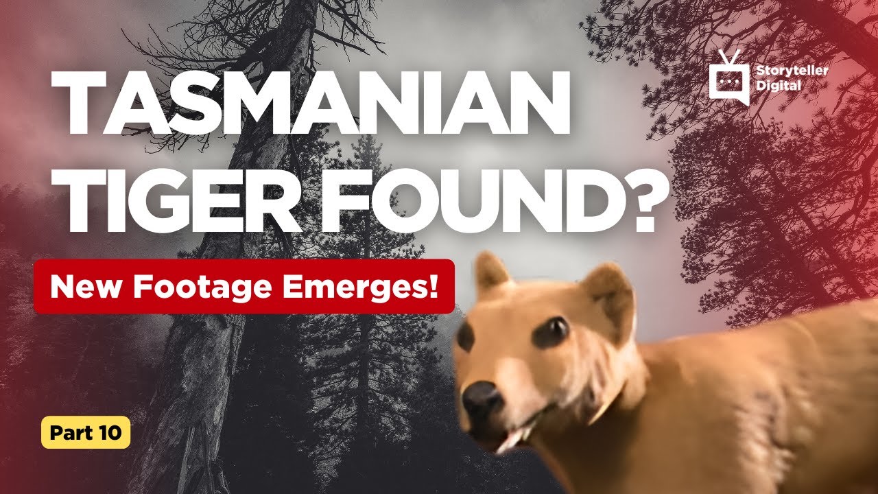 Extinct or Alive? Animal X Hunts for the Elusive Tasmanian Tiger!