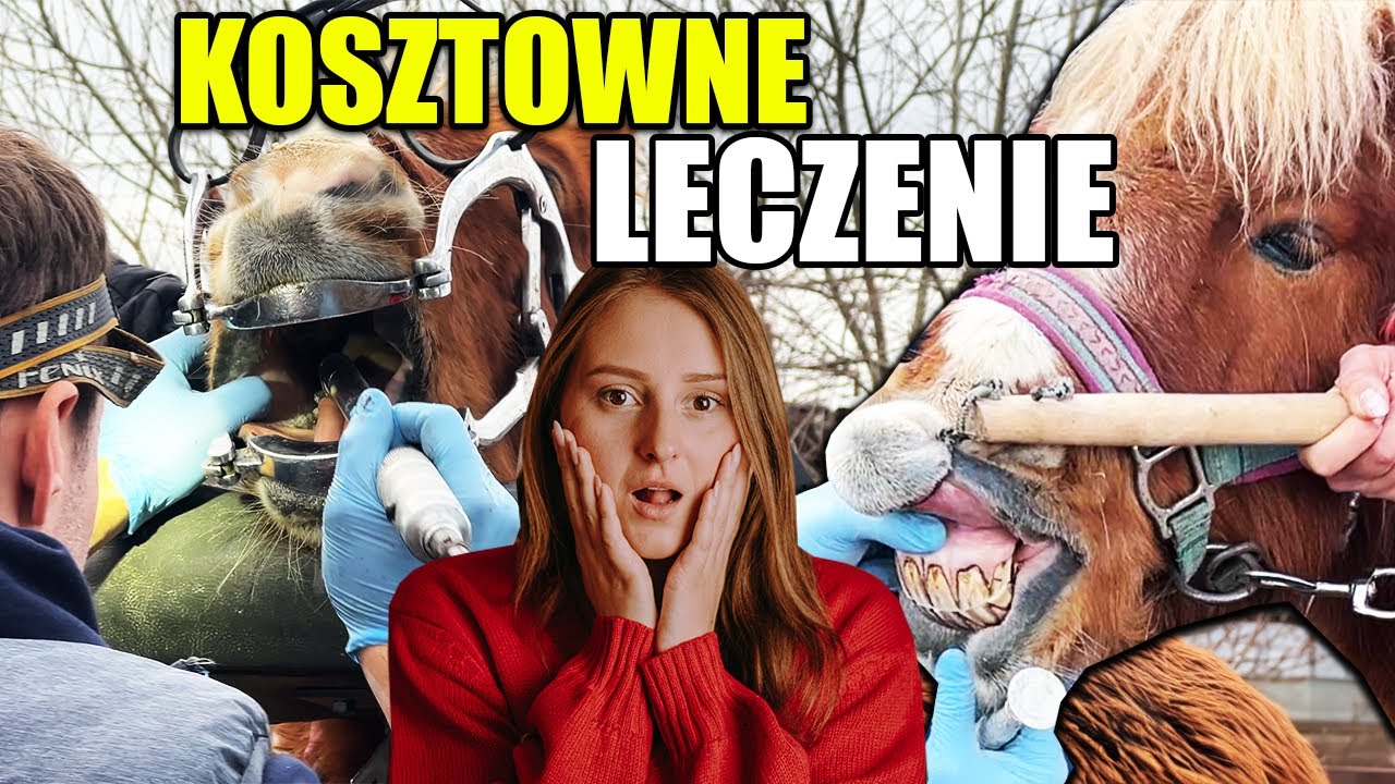 CO Z JANKIEM? 😥 / WIZYTA WETERYNARZA I  FIZJOTERAPEUTY 💲