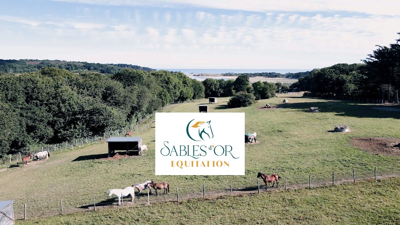 Sables d'or équitation   Centre équestre en Bretagne