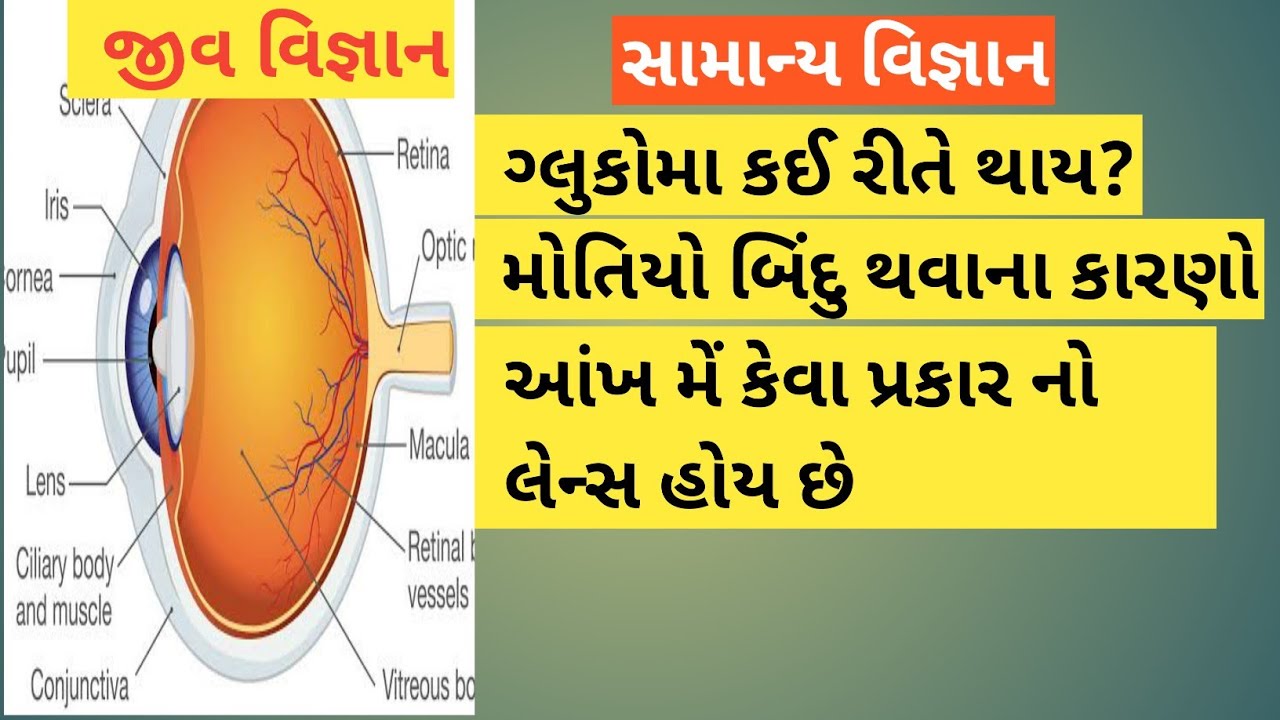 વિટામિન A અને આંખ samanya vigyan, general science in gujarati