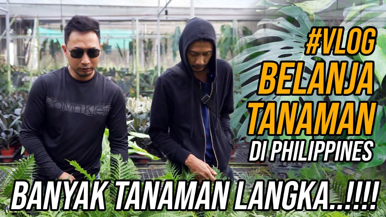 (Vlog) Belanja Tanaman Di Philippines Untuk Project Mega Paludarium