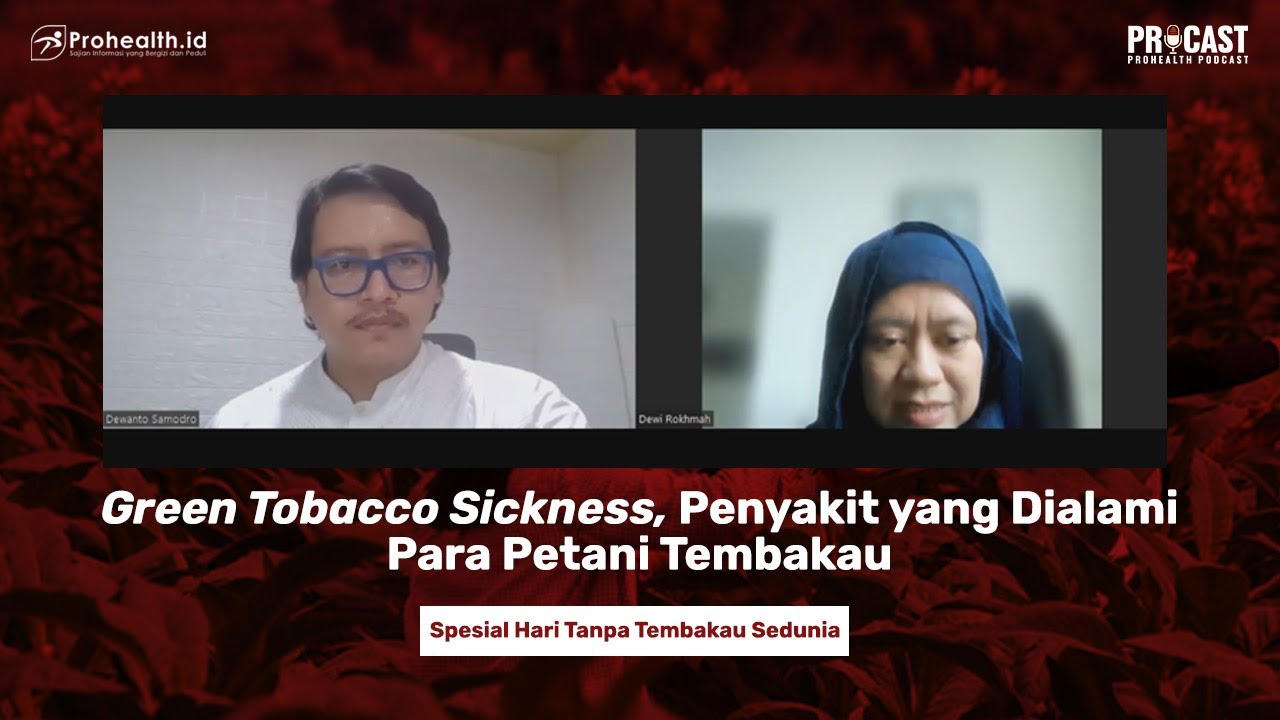 Green Tobacco Sickness, Penyakit yang Dialami Para Petani Tembakau - PROCAST #2