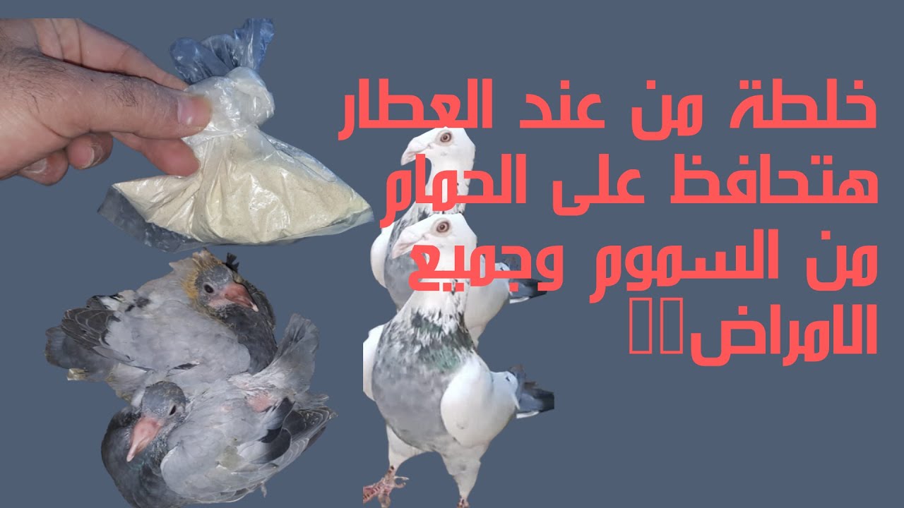 خلطة من عند العطار هتحافظ على الحمام من السموم وجميع الامراض🕊👌👉2022