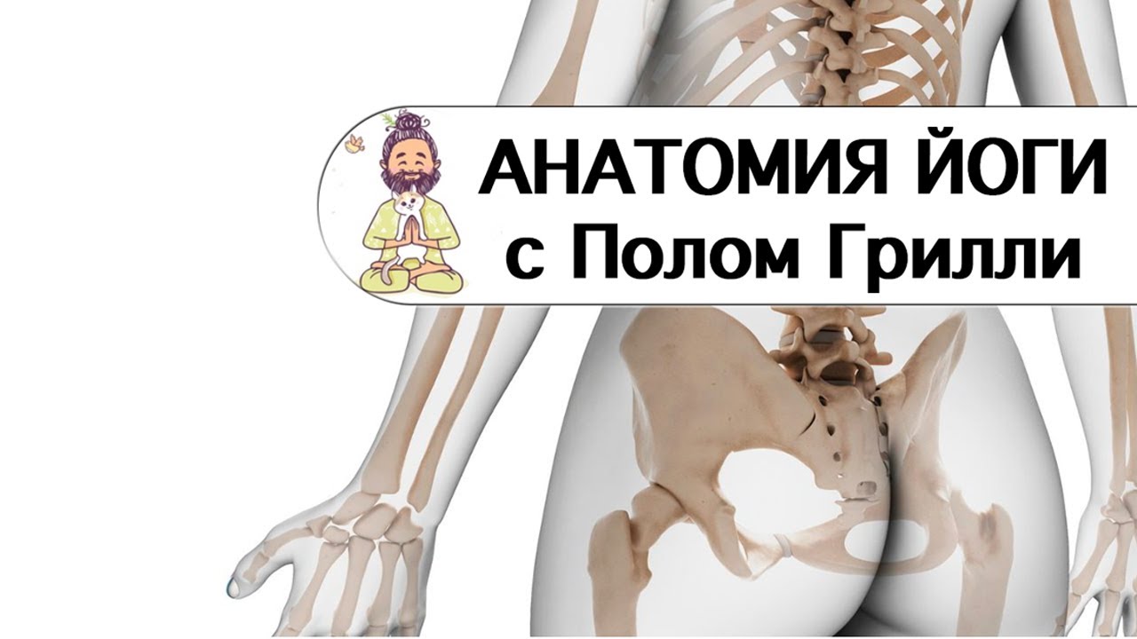 Анатомия йоги с Полом Грилли. Весь цикл в одном видео