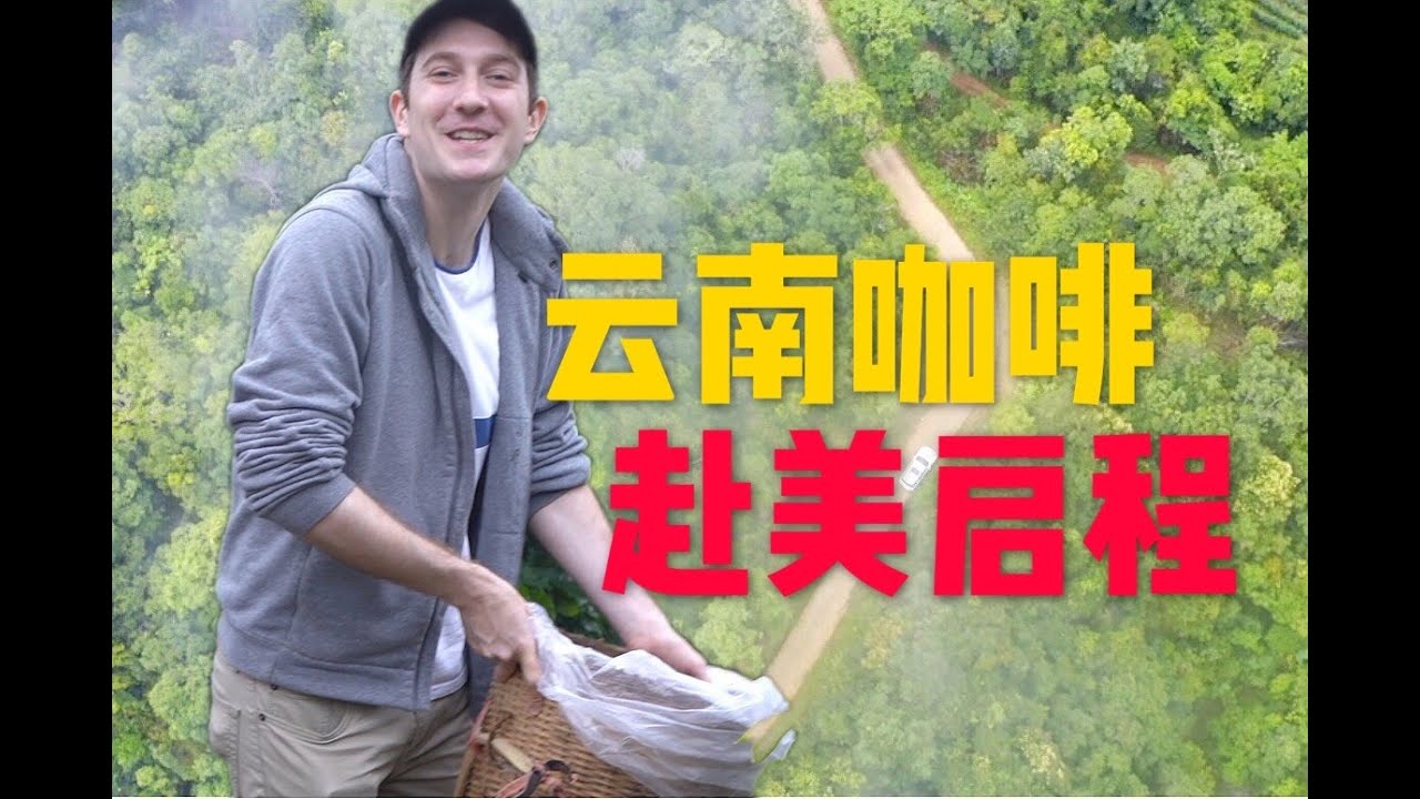创业记录2: 央视跟拍我们咖啡庄园，第一批已经寄美国！