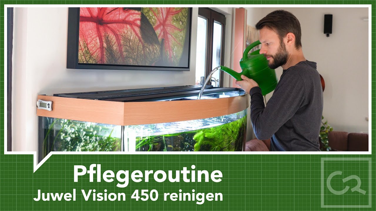 Juwel Vision 450 – Pflegeroutine