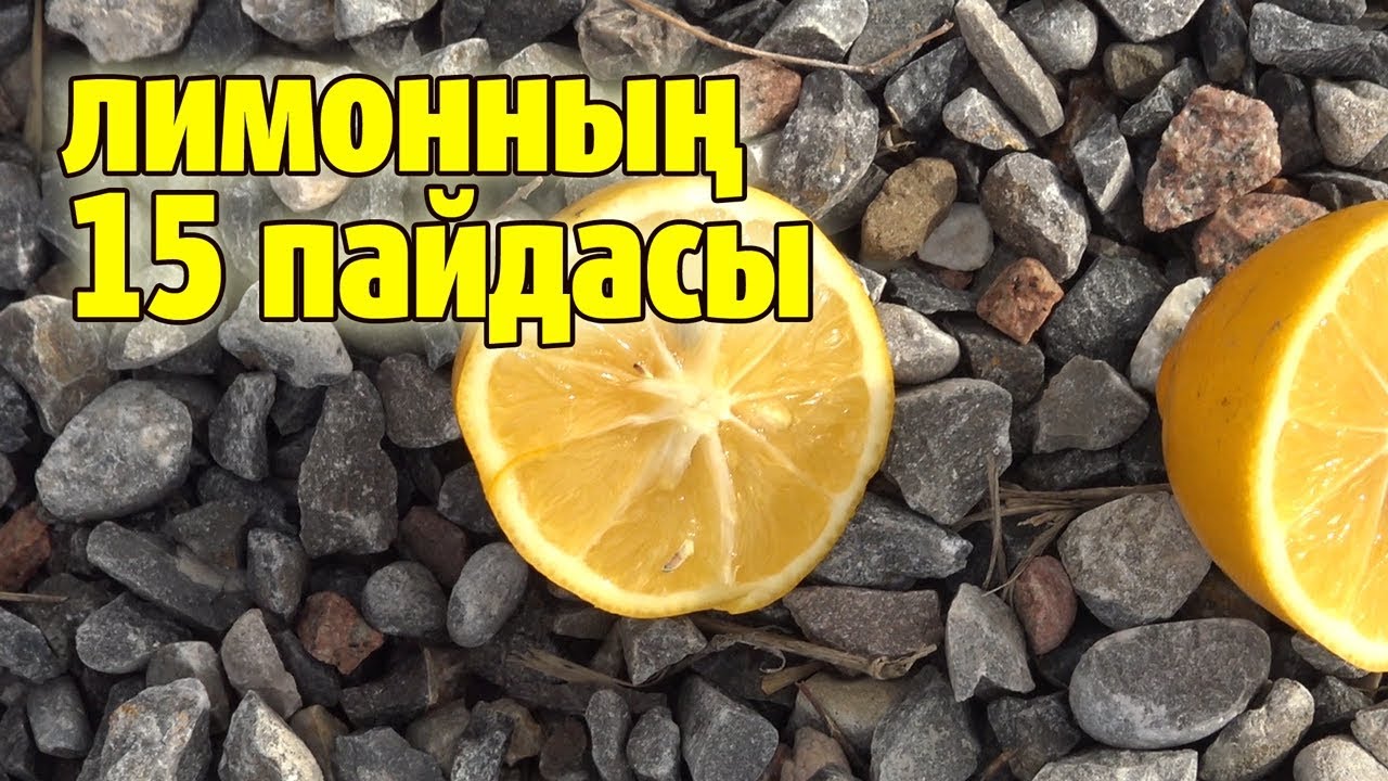 ЛИМОННЫҢ 15 ПАЙДАСЫ , 7 ТҮРЛІ АУРУДАН САҚТАЙДЫ