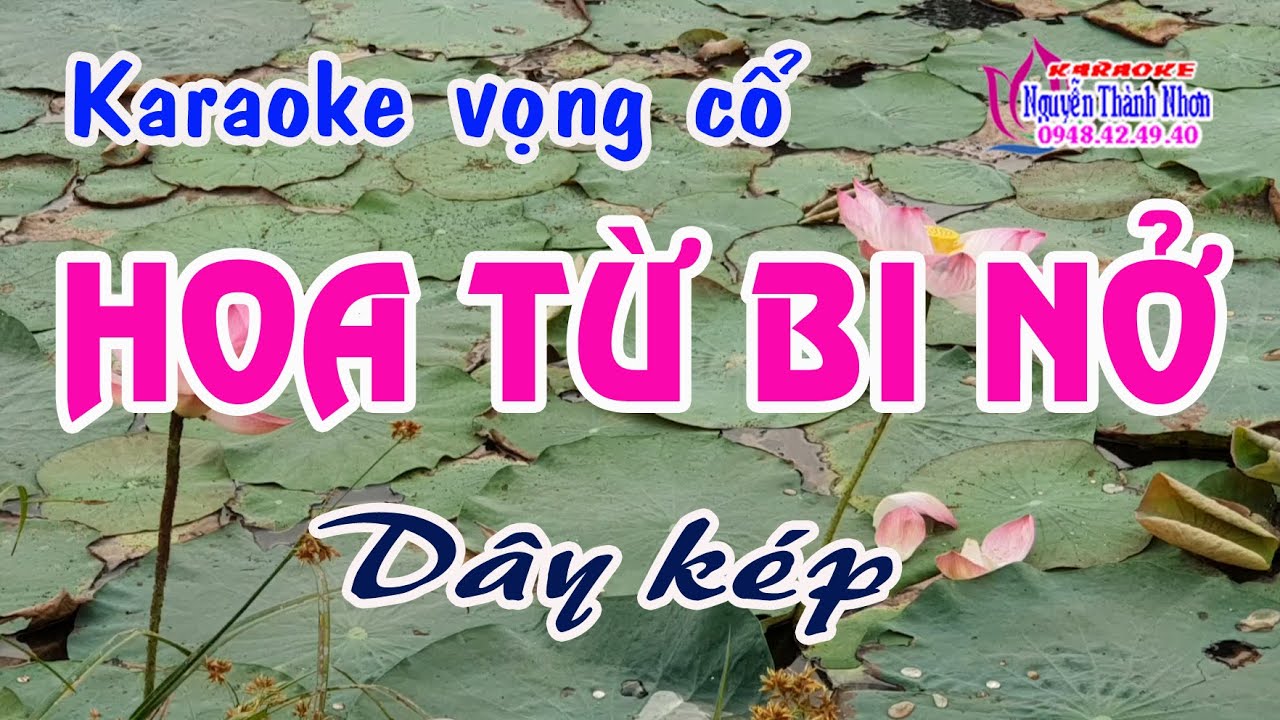 Karaoke vọng cổ HOA TỪ BI NỞ - DÂY KÉP [ BEAT HAY ]